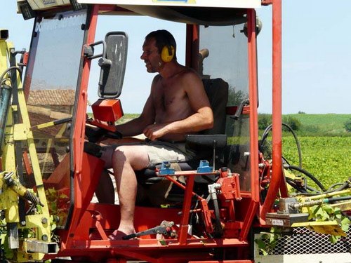 виноградники во Франции